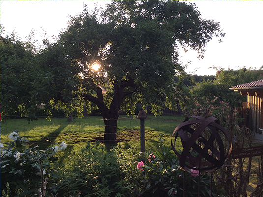 Gartenpflege1